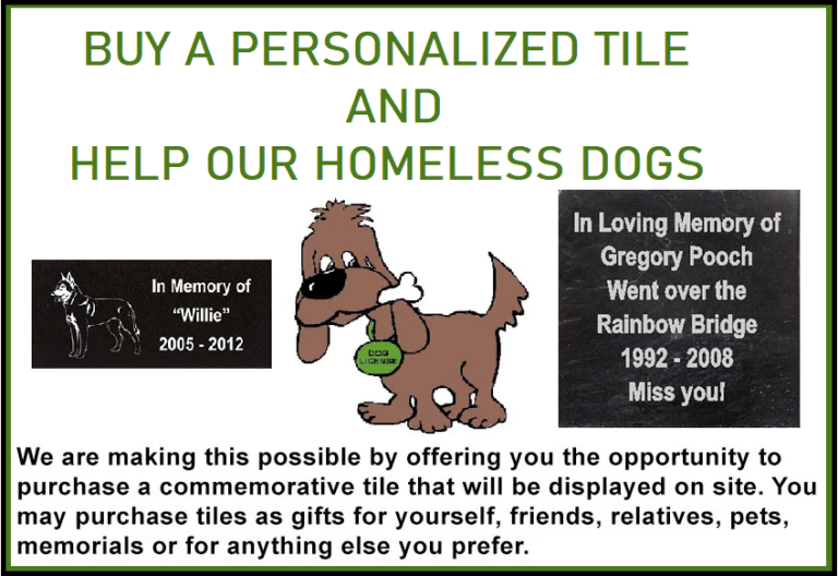 Donations Dog Shelter