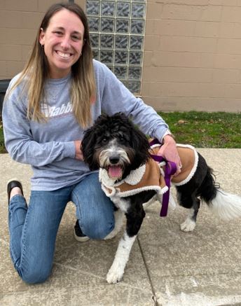 Happy Tails - Dog Shelter