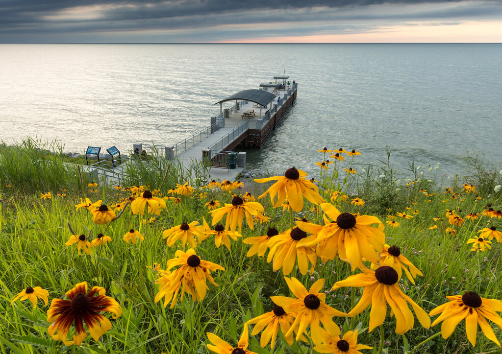 Lake Erie Bluffs at Lake Metroparks